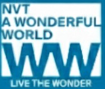 nvt-a-wonderful-world-villa.in